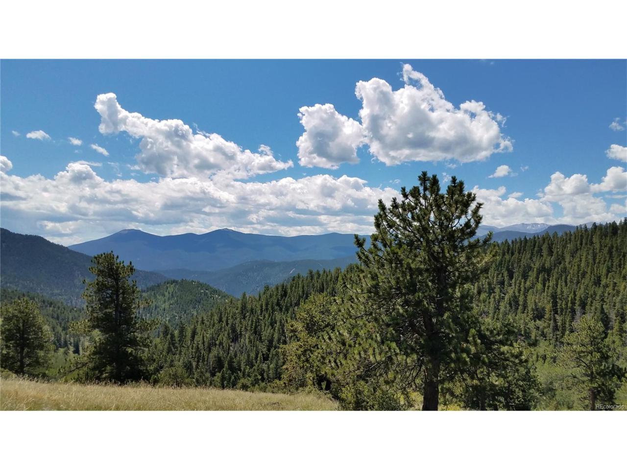 0 York Gulch Road - Photo 1
