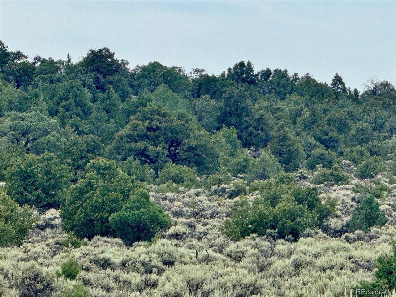 Lot 38 Wildhorse Drive - Photo 1