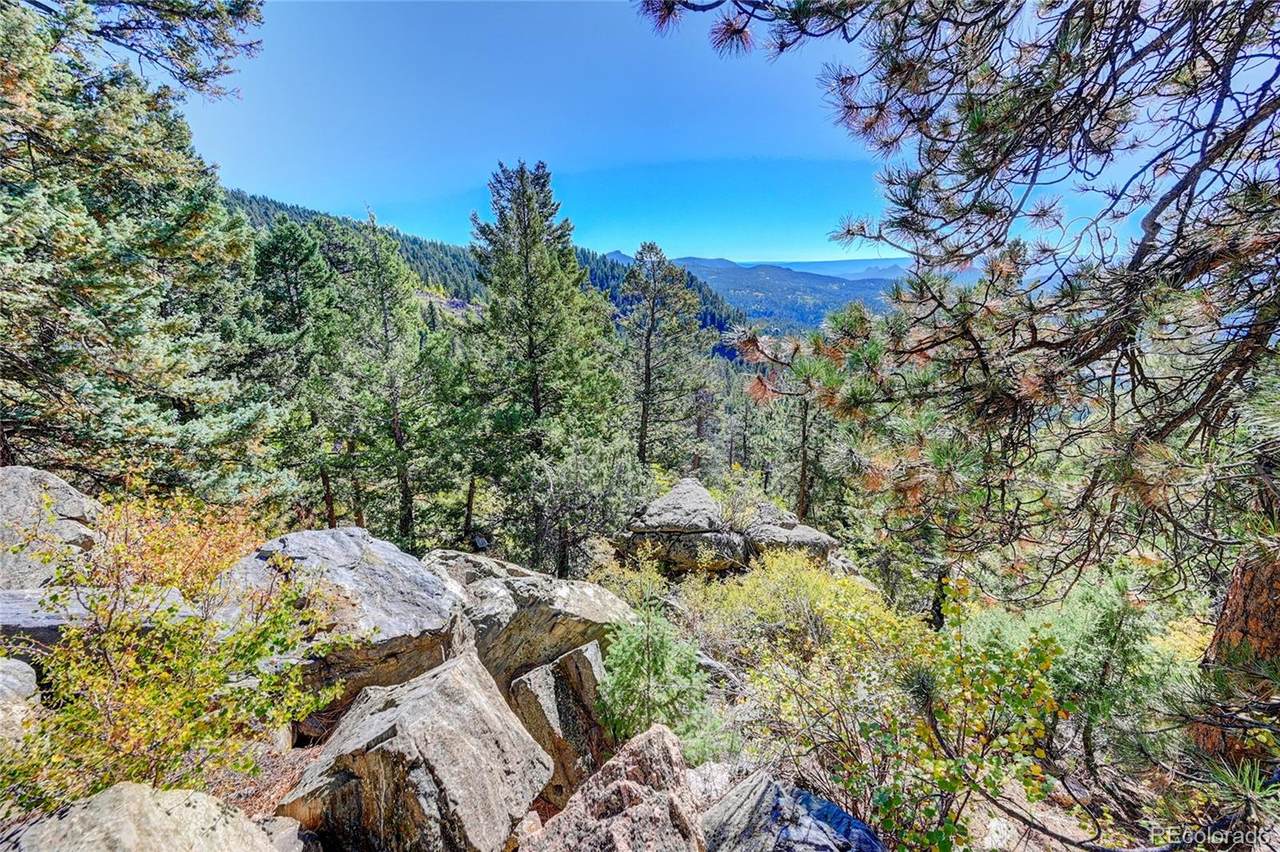 11723 Braun Way - Photo 1