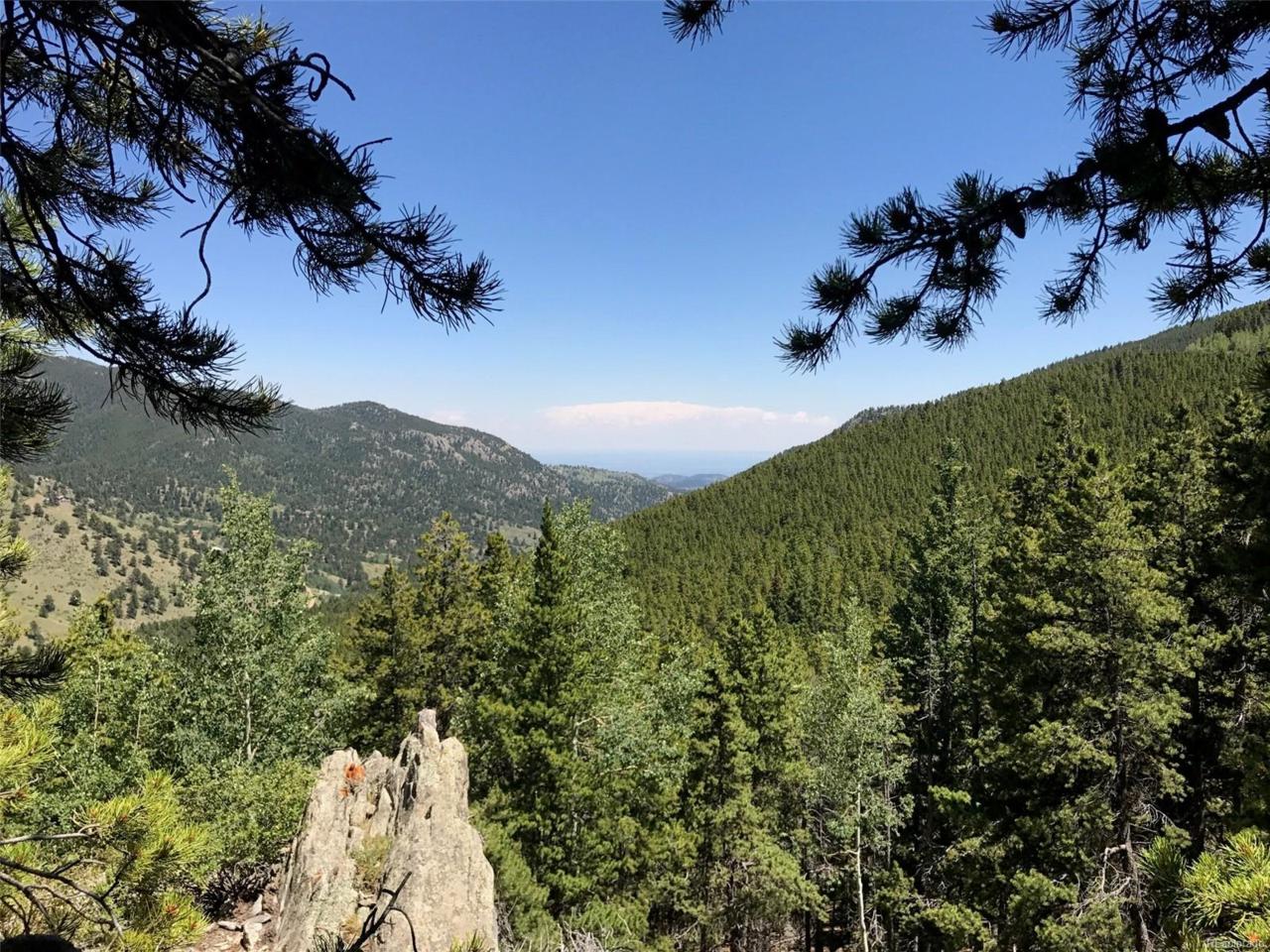 6340 Bear Paw Road - Photo 1