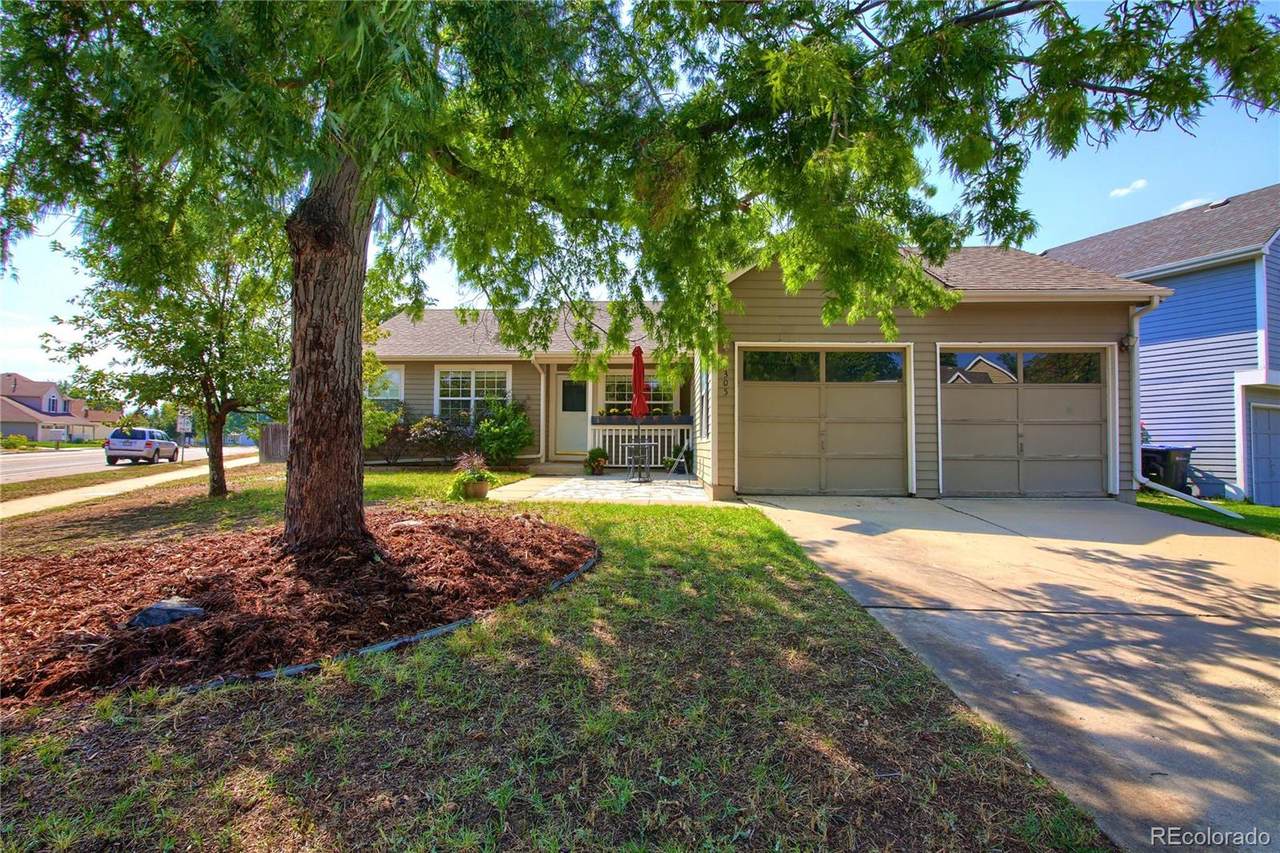 6305 Zinnia Street - Photo 1