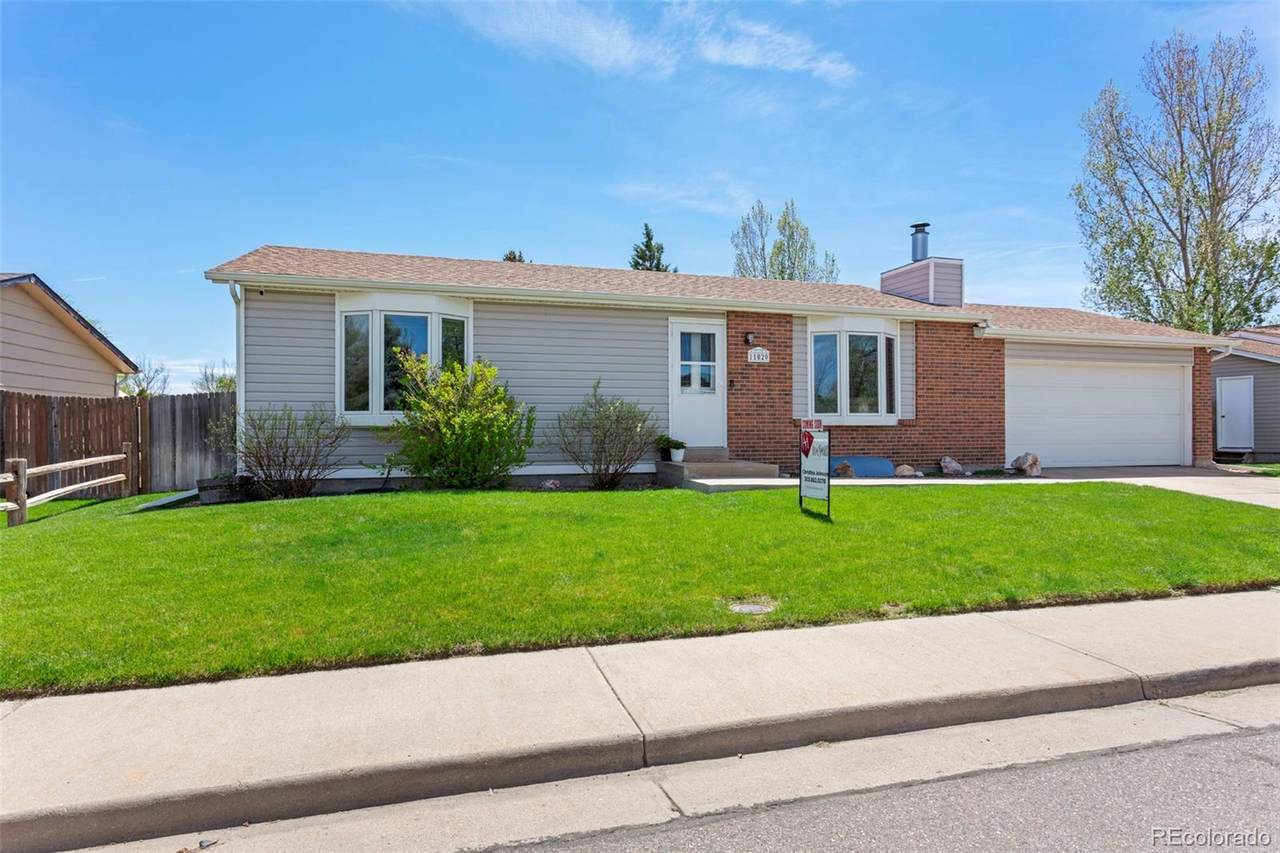 11020 Dahlia Drive - Photo 1