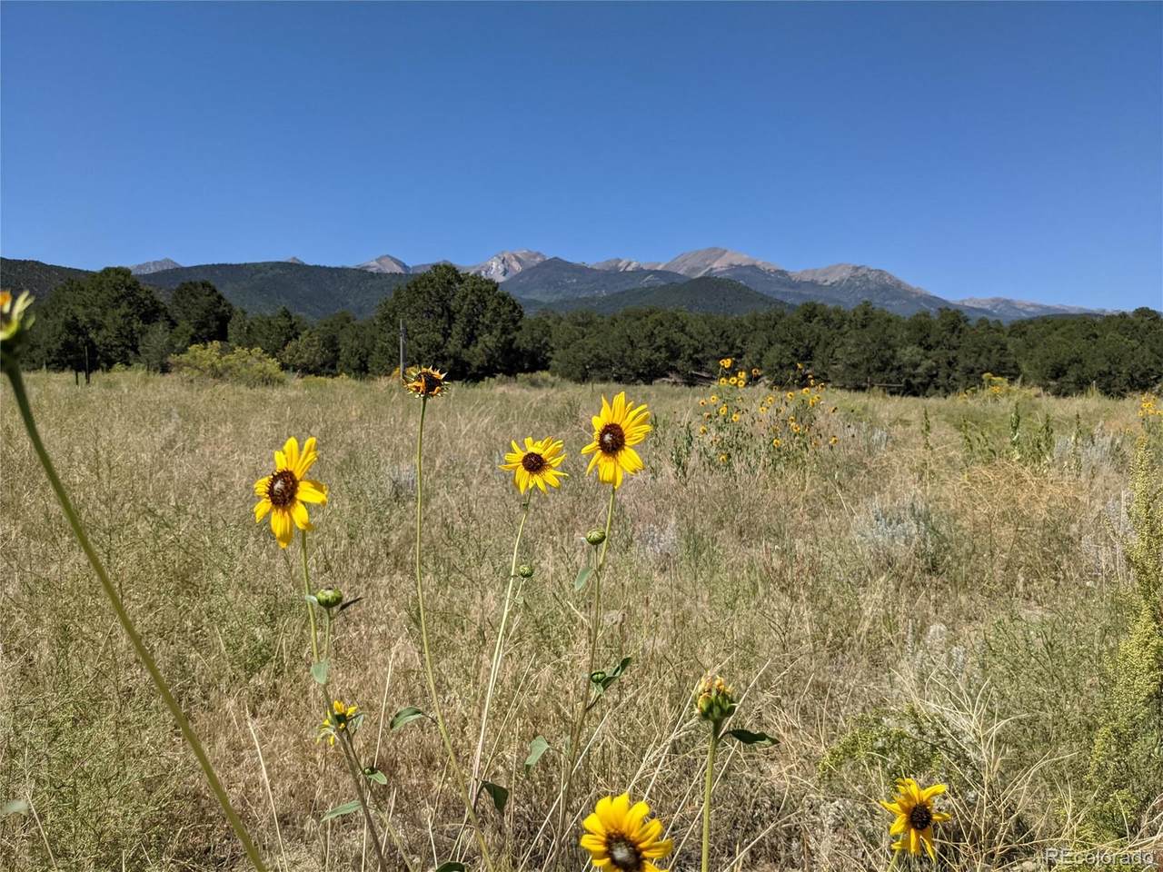 County Road 45 - Photo 1