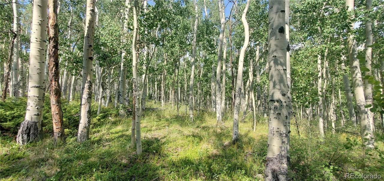 Lot 5837 Sheldon Road - Photo 1