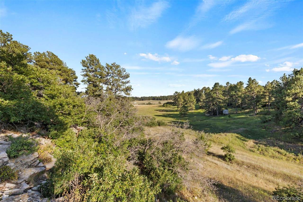 13001 Cherry Creek Road - Photo 1