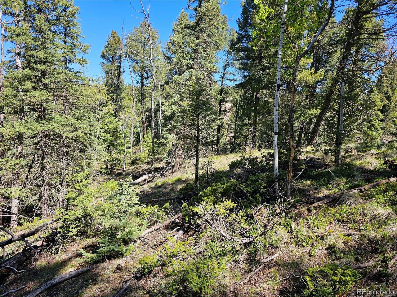 52 Warrior Circle - Photo 1