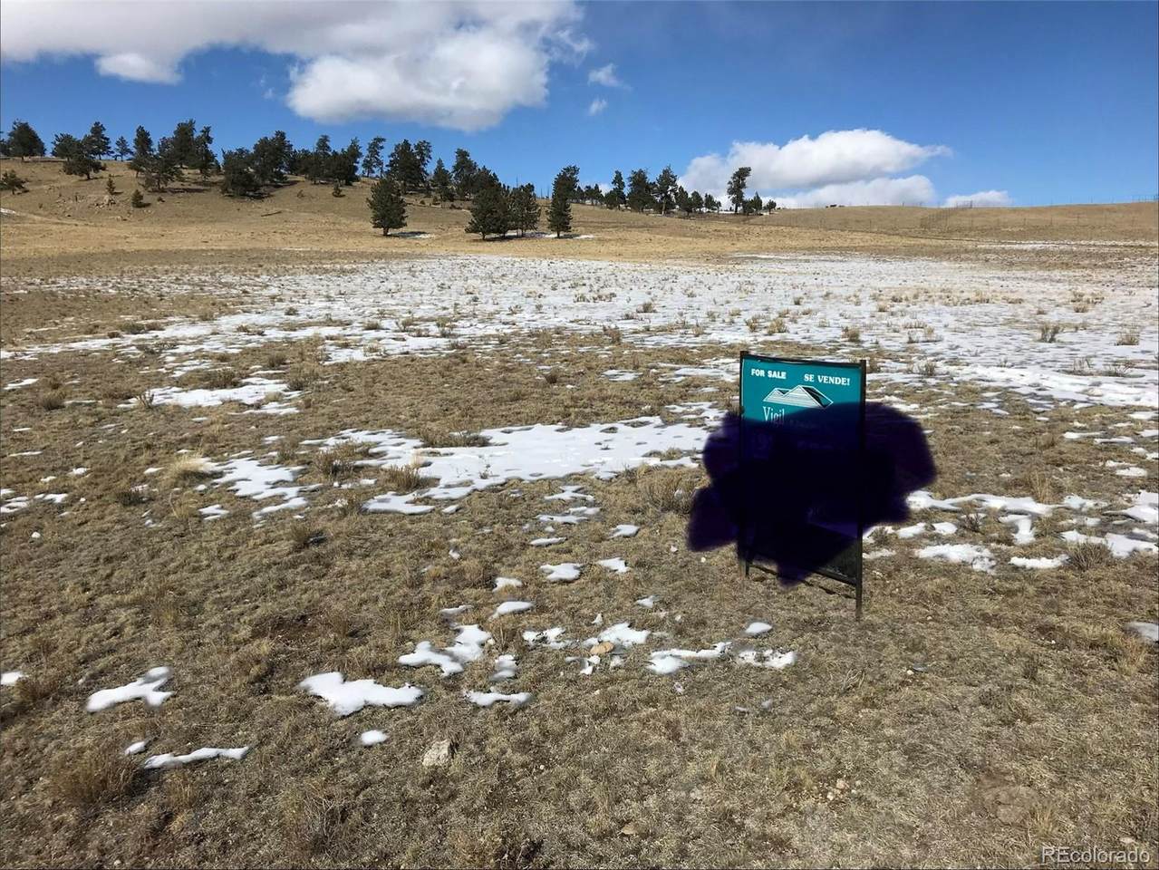  Ruby Gulch - Photo 1