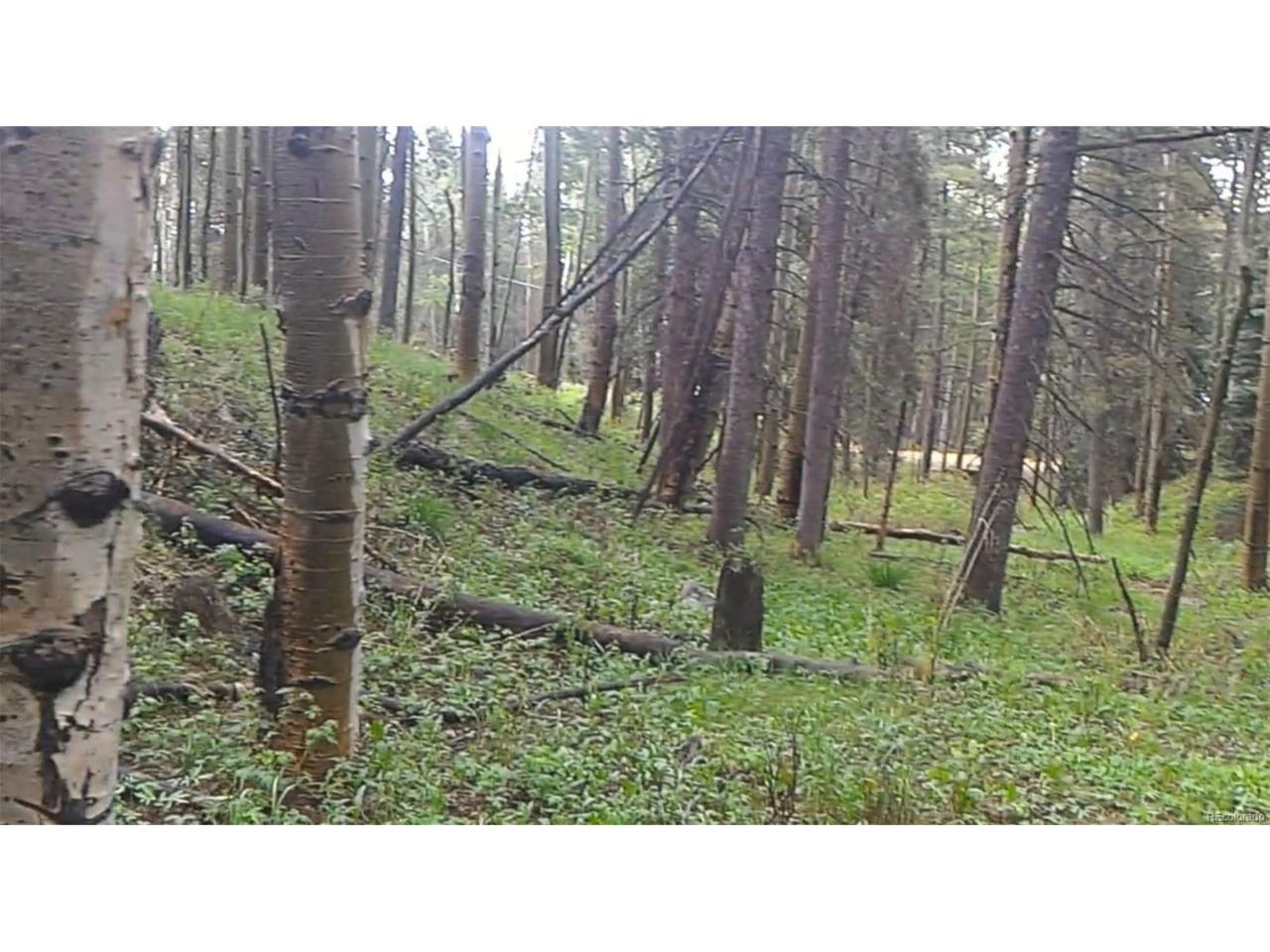 Ute Trail - Photo 1