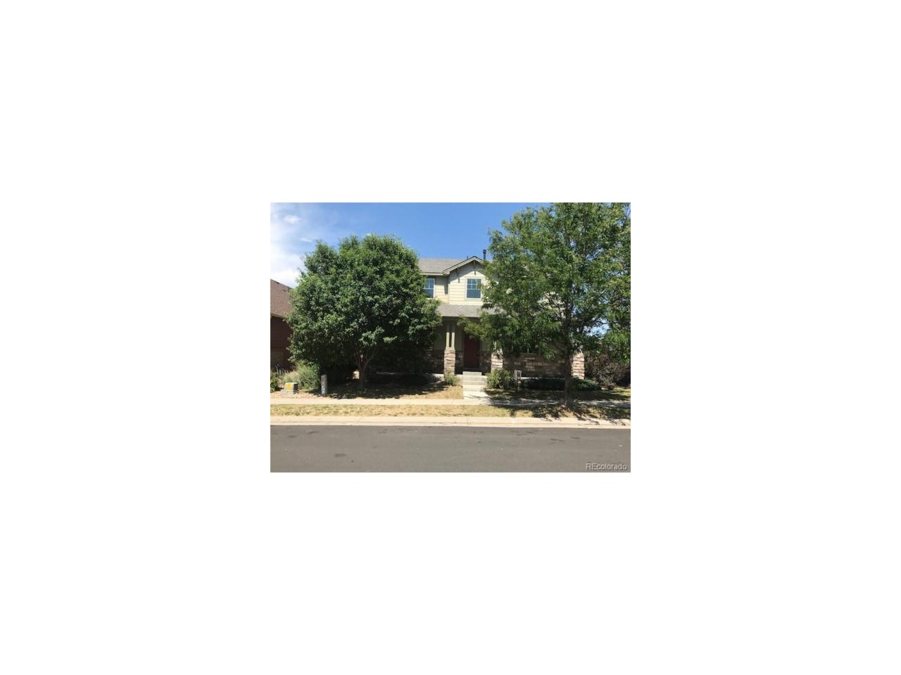 11004 Nome Street - Photo 1