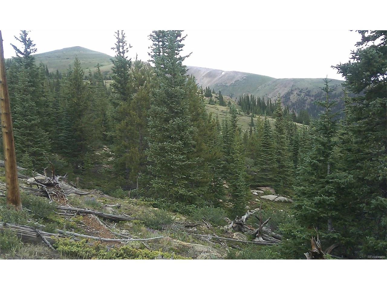 767 Timberline Trail - Photo 1