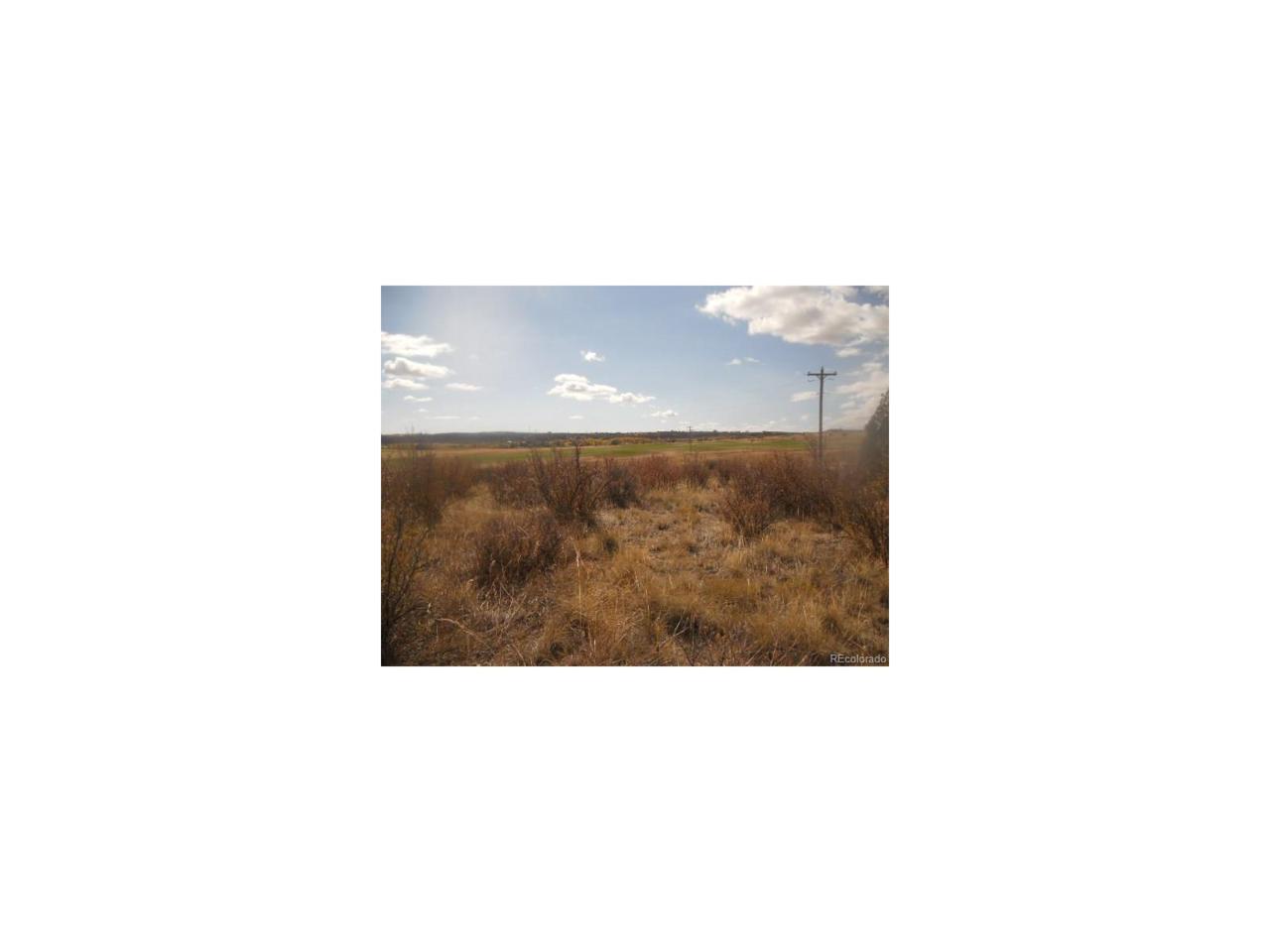 Trinchera Drive - Photo 1