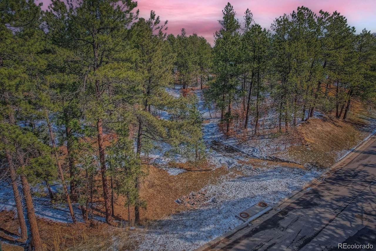 665 Copper Fox Place - Photo 1