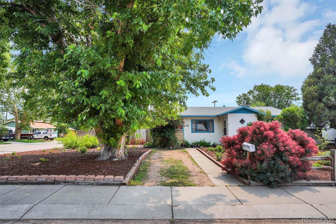 620 Del Norte Street - Photo 1