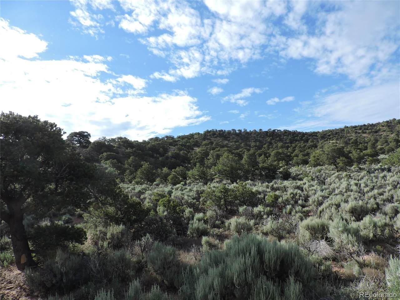 3772 Donovan Road - Photo 1