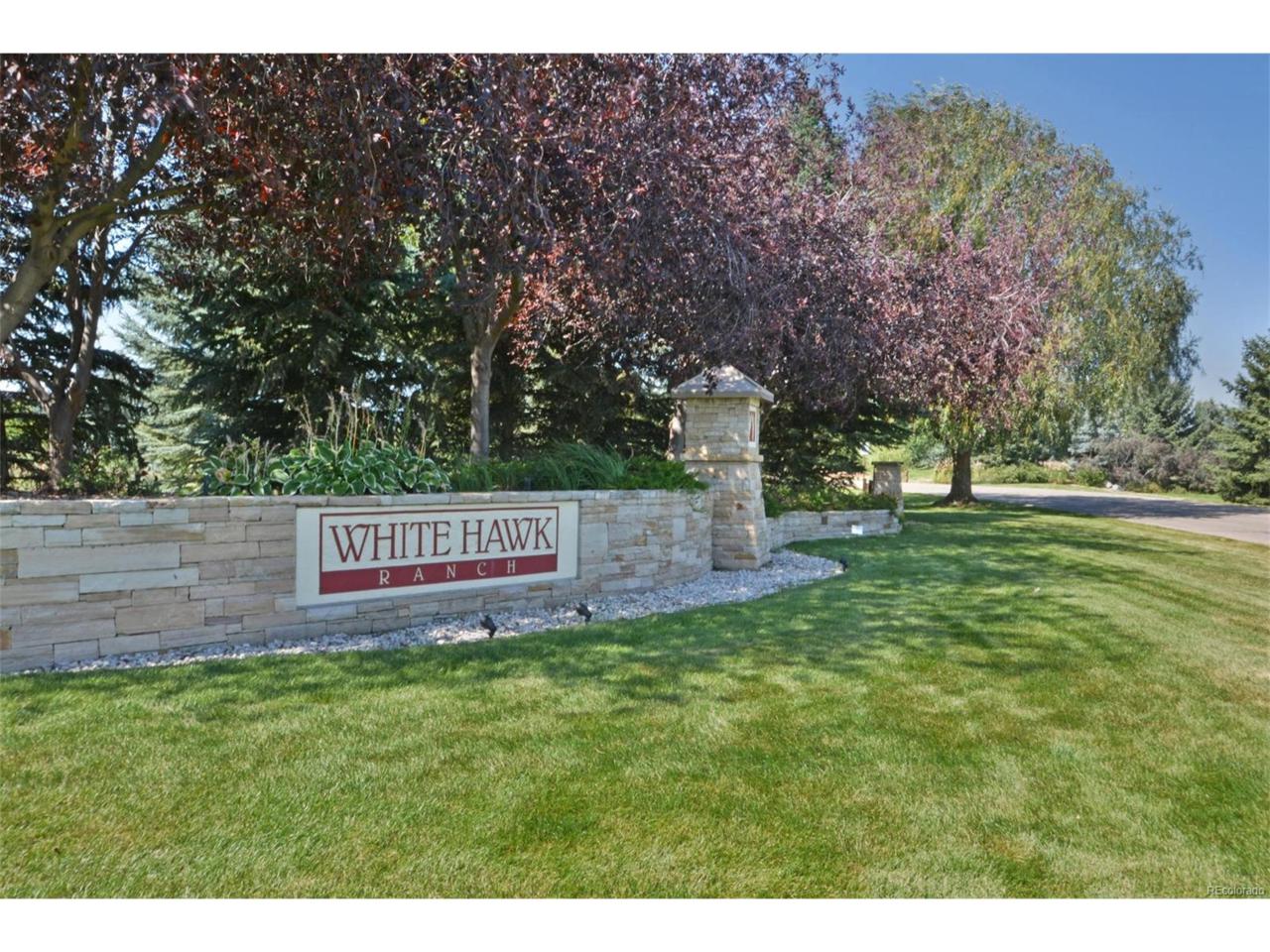 1017 White Hawk Ranch Drive - Photo 1