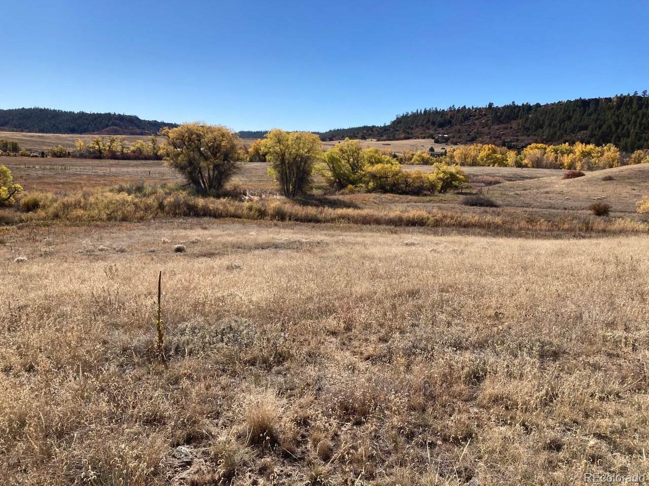 Willow Lake Drive - Photo 1