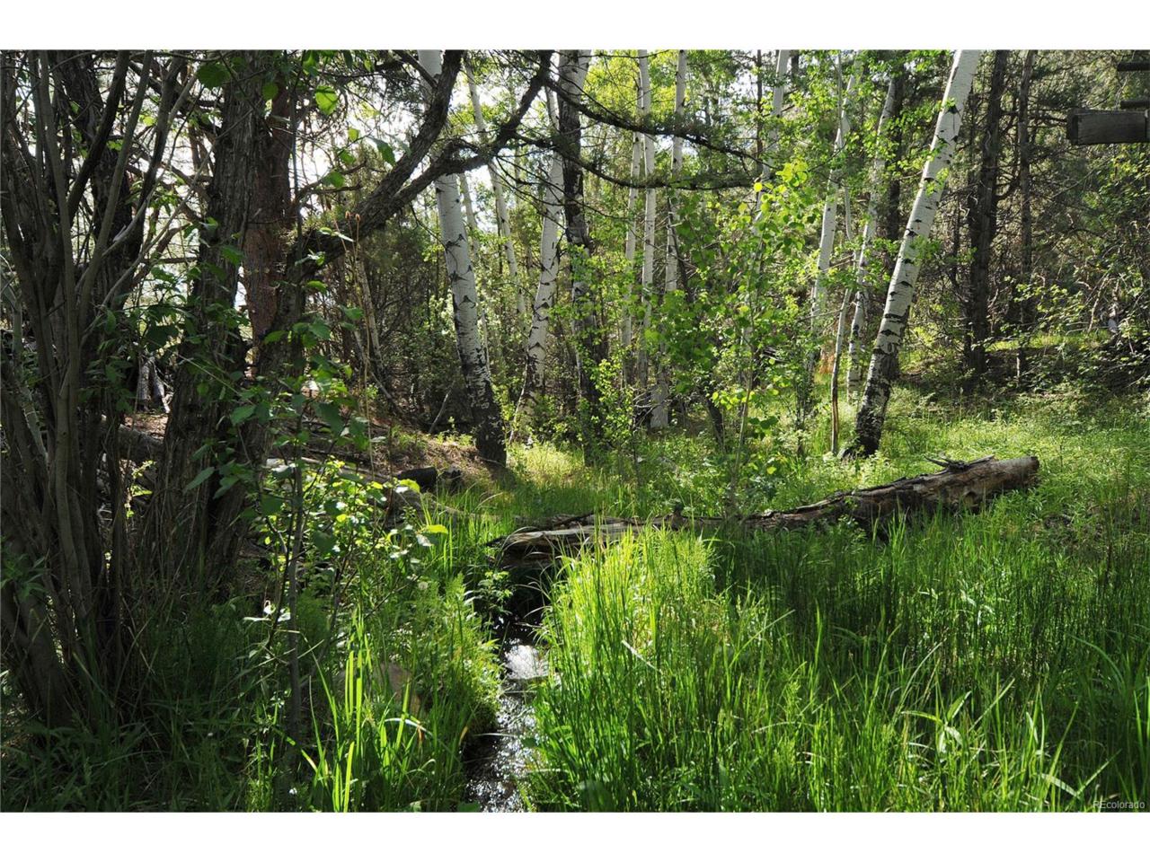 Kiowa Road - Photo 1