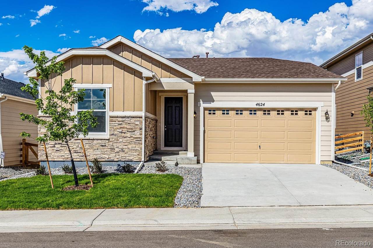4624 Nepal Way - Photo 1