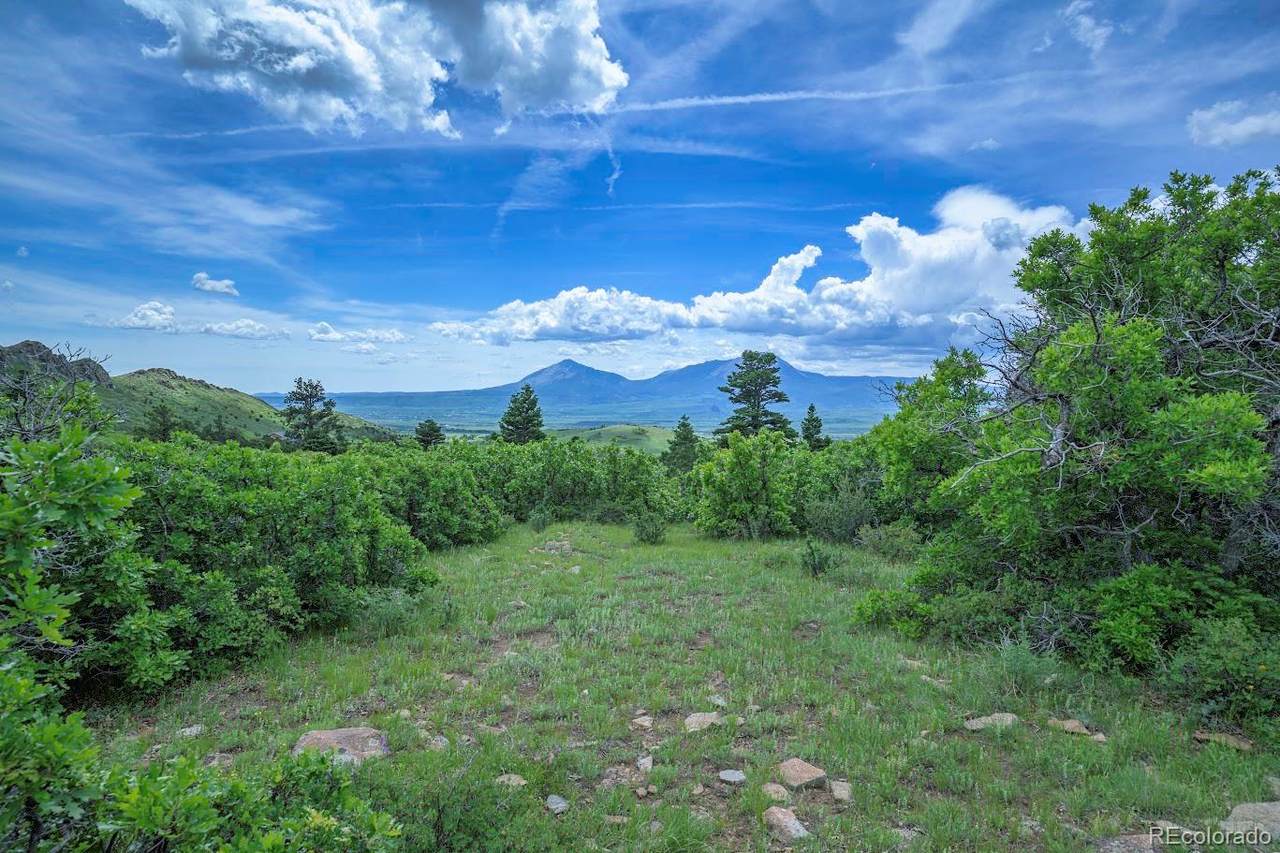 Highway 160 Lot 66 - Photo 1