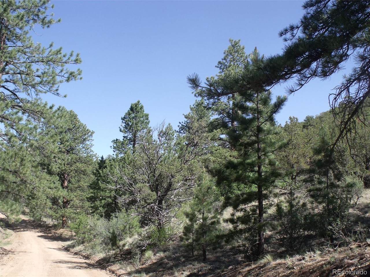304 Broken Arrow Drive - Photo 1