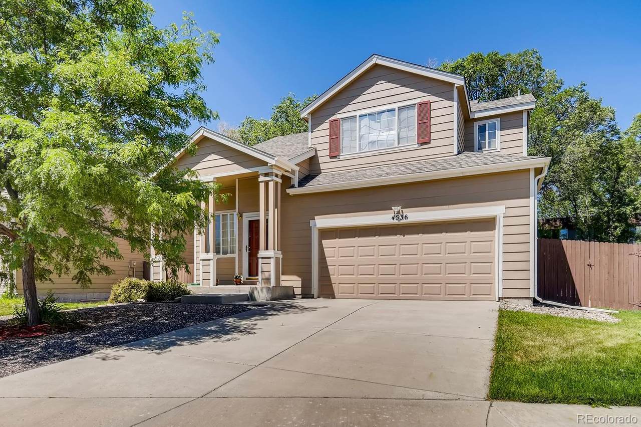4536 Canyon Wren Lane - Photo 1