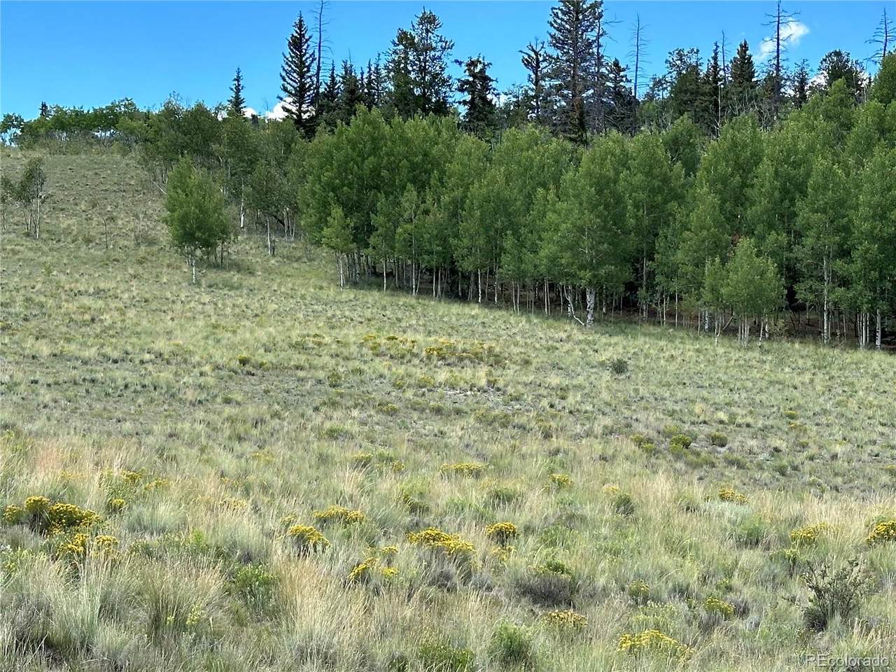 95 Wabeno Court - Photo 1