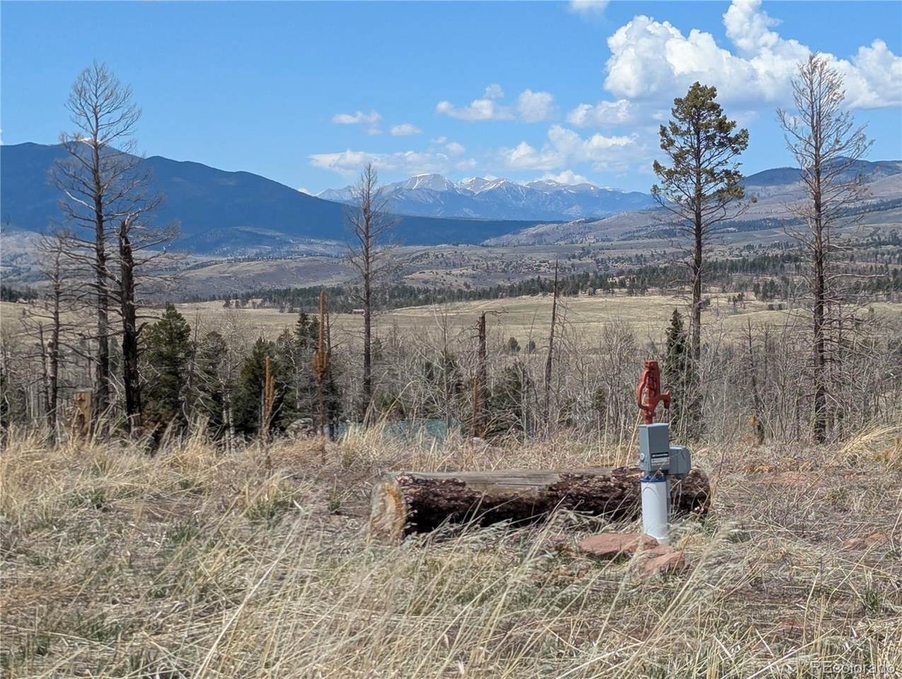 908-909 Forbes Park Road - Photo 1