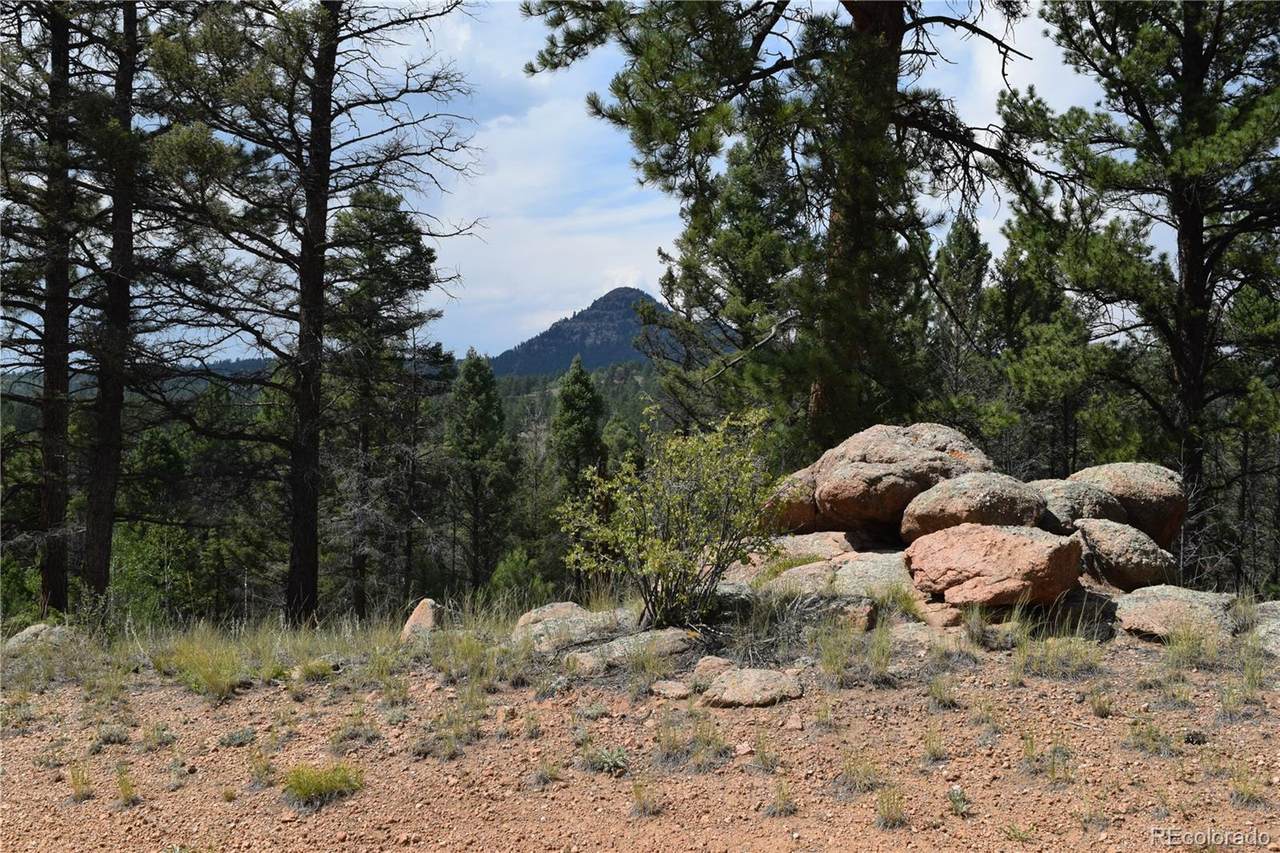 93 Kiowa Creek Trail - Photo 1