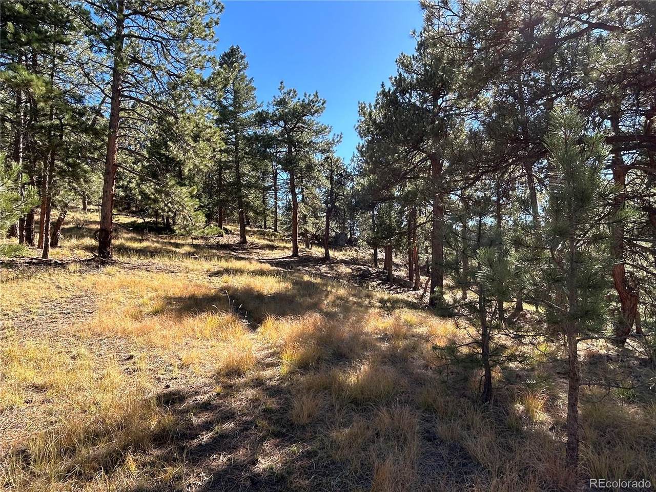 00 White House Trail - Photo 1