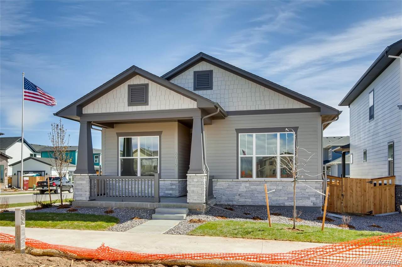 6019 Orleans Street - Photo 1