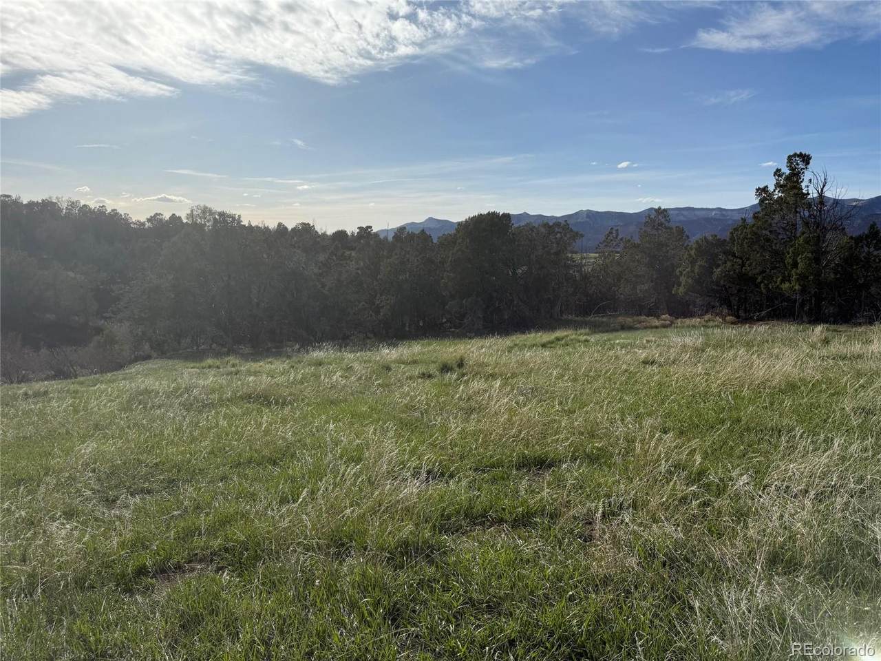 14495 Scott Loop - Photo 1