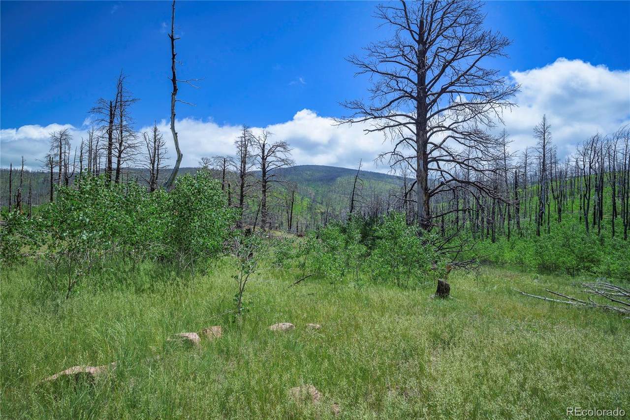 1185 Bechtel Place - Photo 1