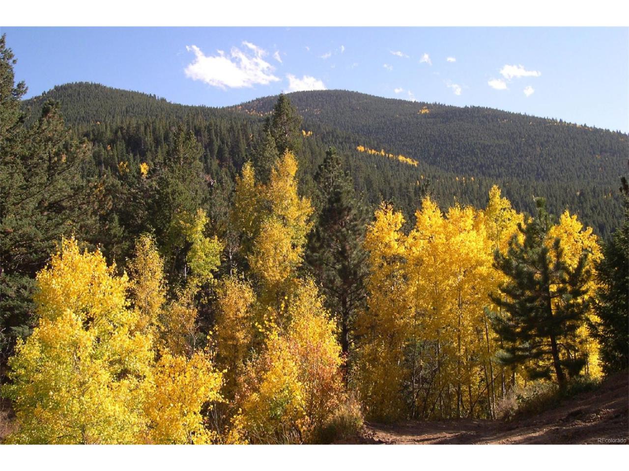 1077 Crawford Gulch Road - Photo 1