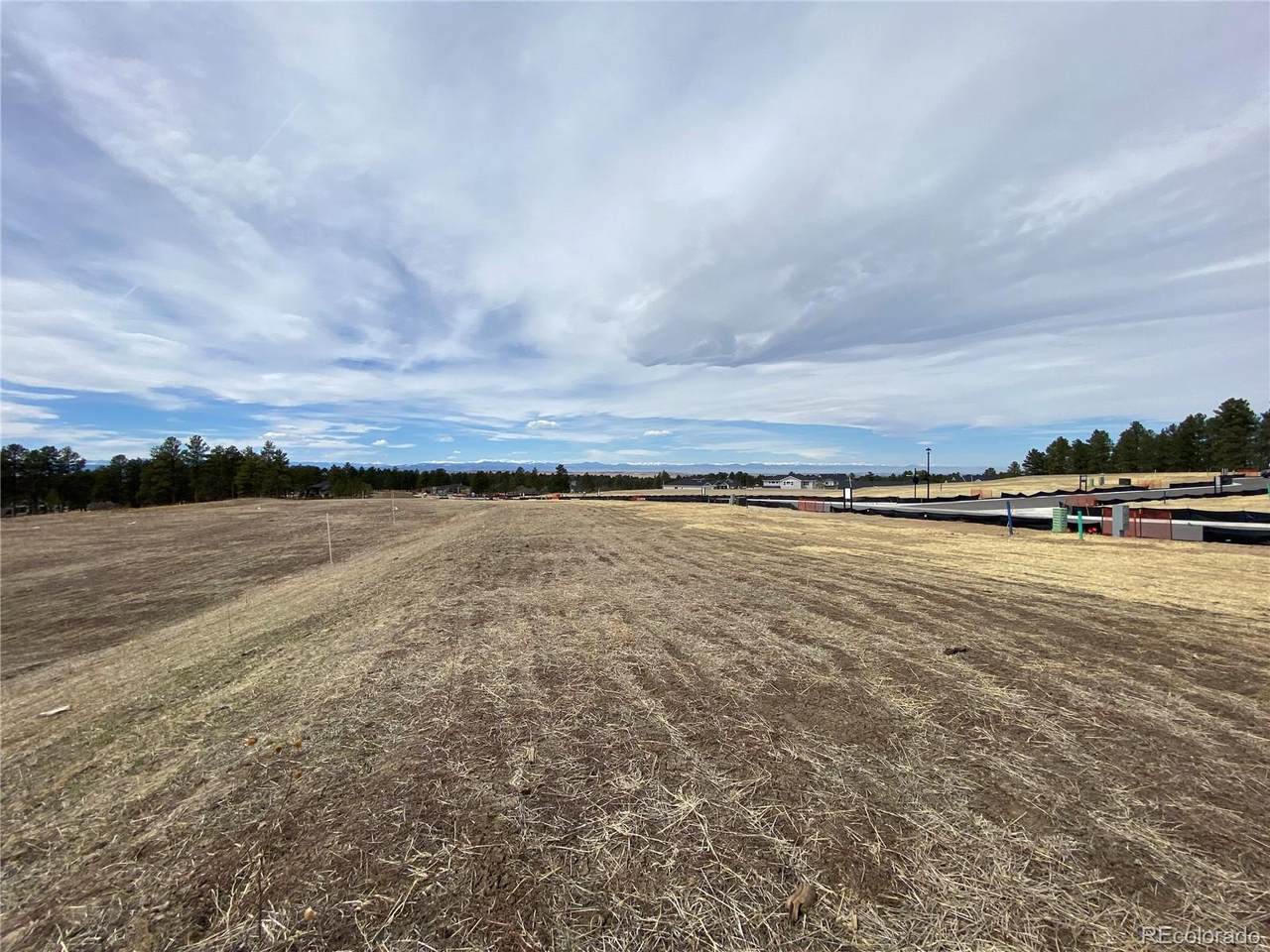 9798 Majestic Oak Drive - Photo 1