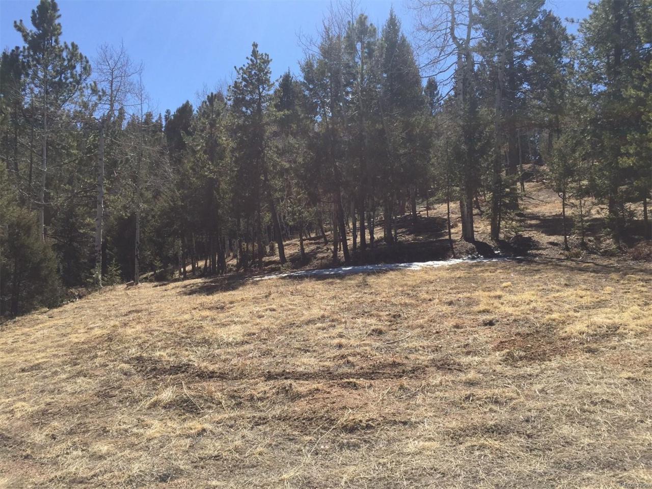13667 Fir Drive - Photo 1