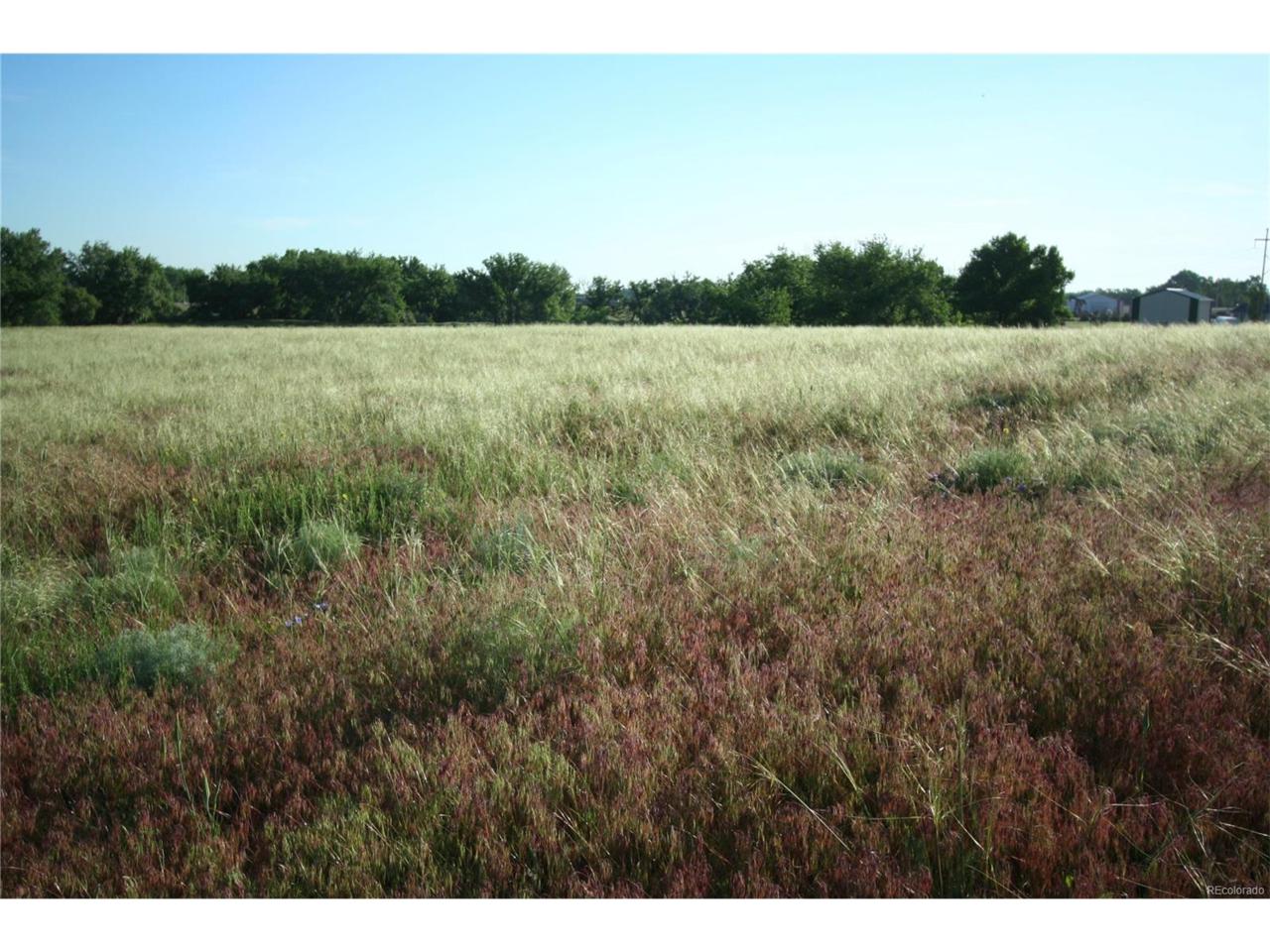 0 Tbd3 - Photo 1