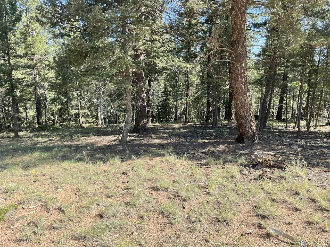 810 Ridge Road - Photo 1