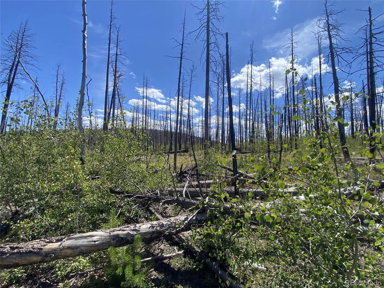 1637 Cary Lane - Photo 1