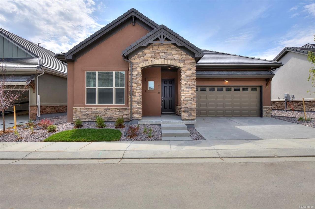 4110 Blair Peak Drive - Photo 1