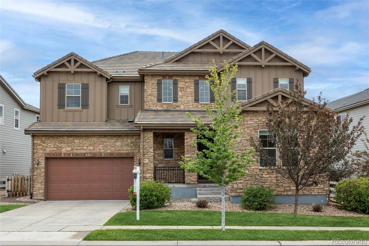 16006 Swan Mountain Drive - Photo 1