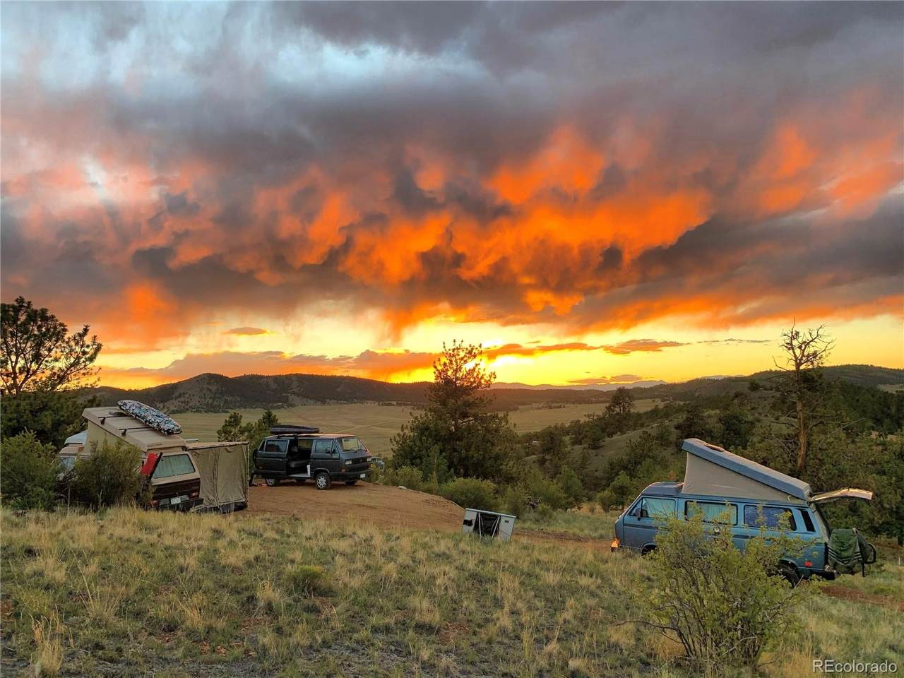 1769 Settele Drive - Photo 1