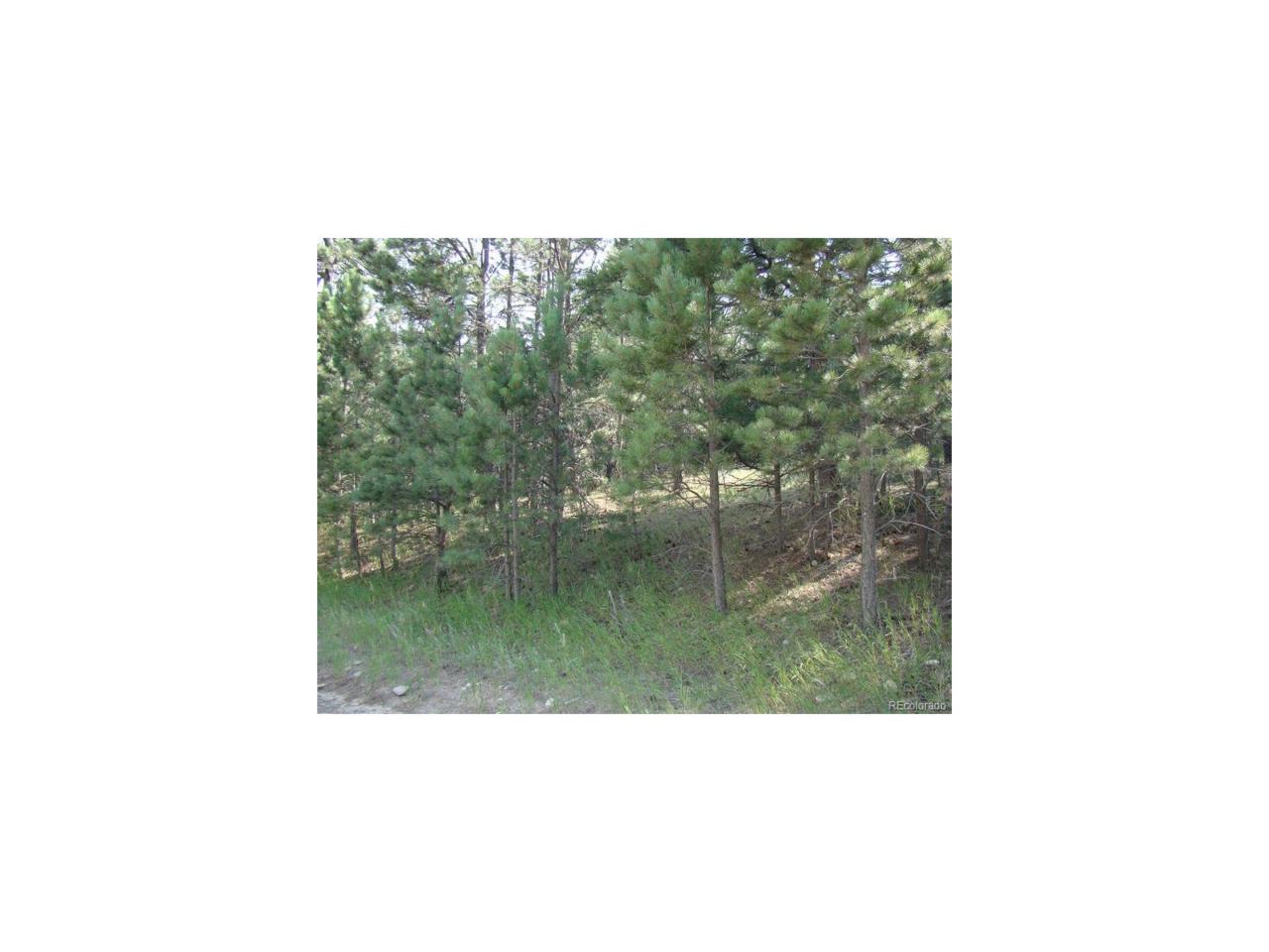 18495 Steeplechase Drive - Photo 1