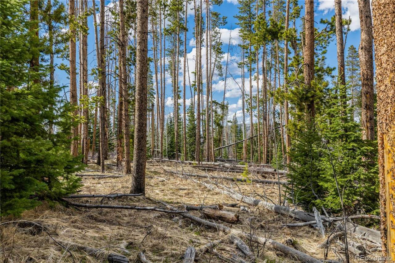 Lot 98 South Station II - Photo 1