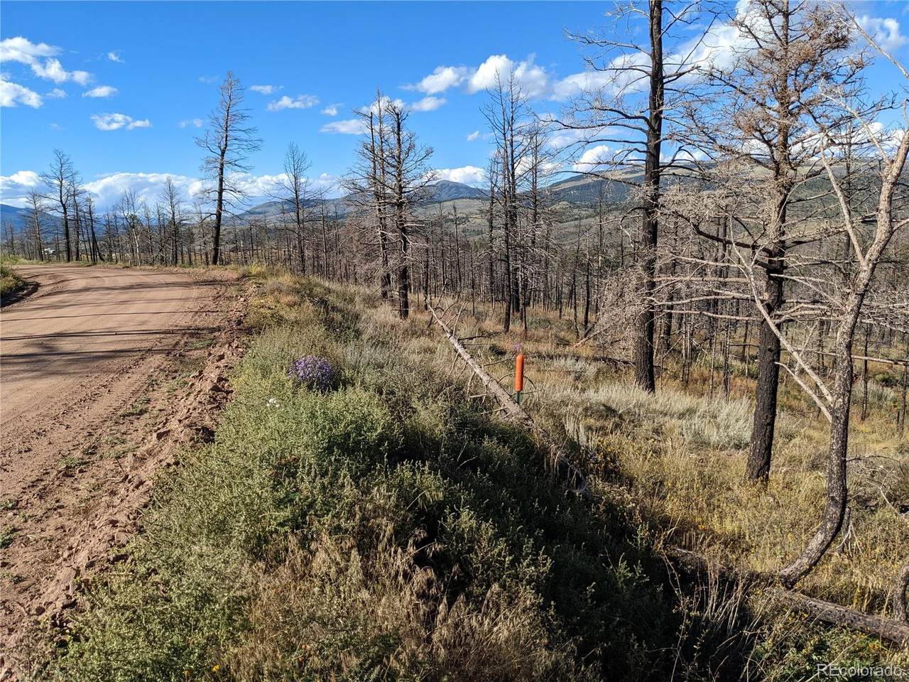 296 Wagon Mesa Loop - Photo 1
