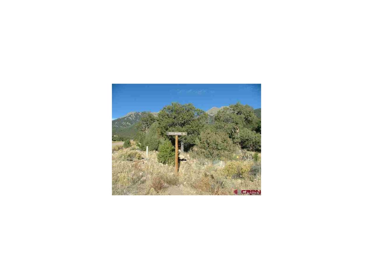1307 Moonlight Way - Photo 1