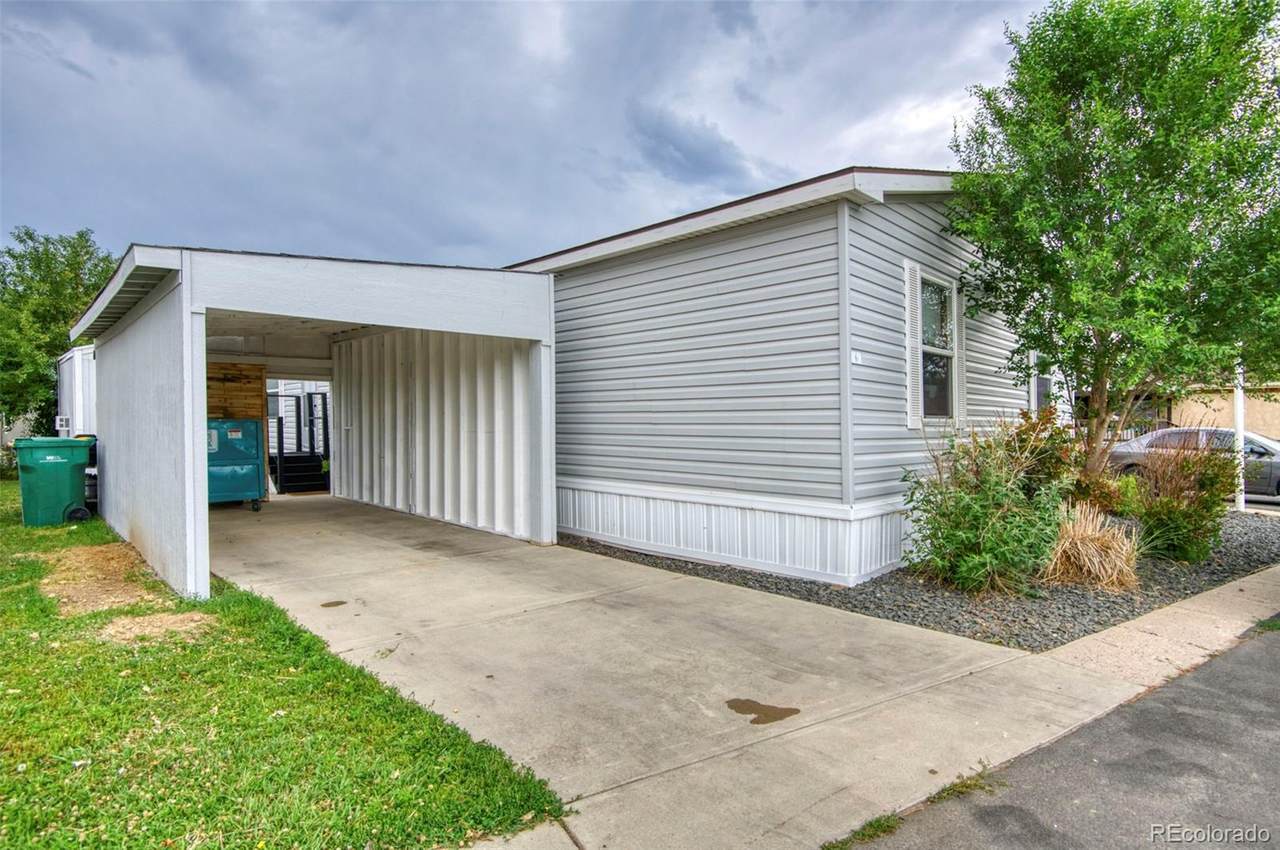 517 Trilby Road - Photo 1