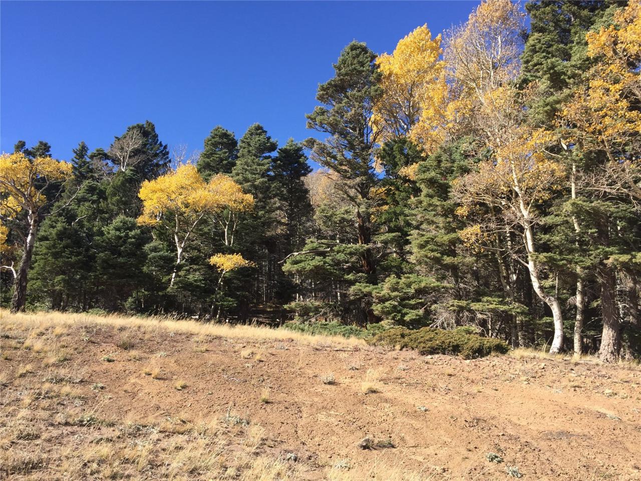2050 Forbes Park Road, Fort Garland, CO 81133 (MLS #7141770) :: 8z Real Estate