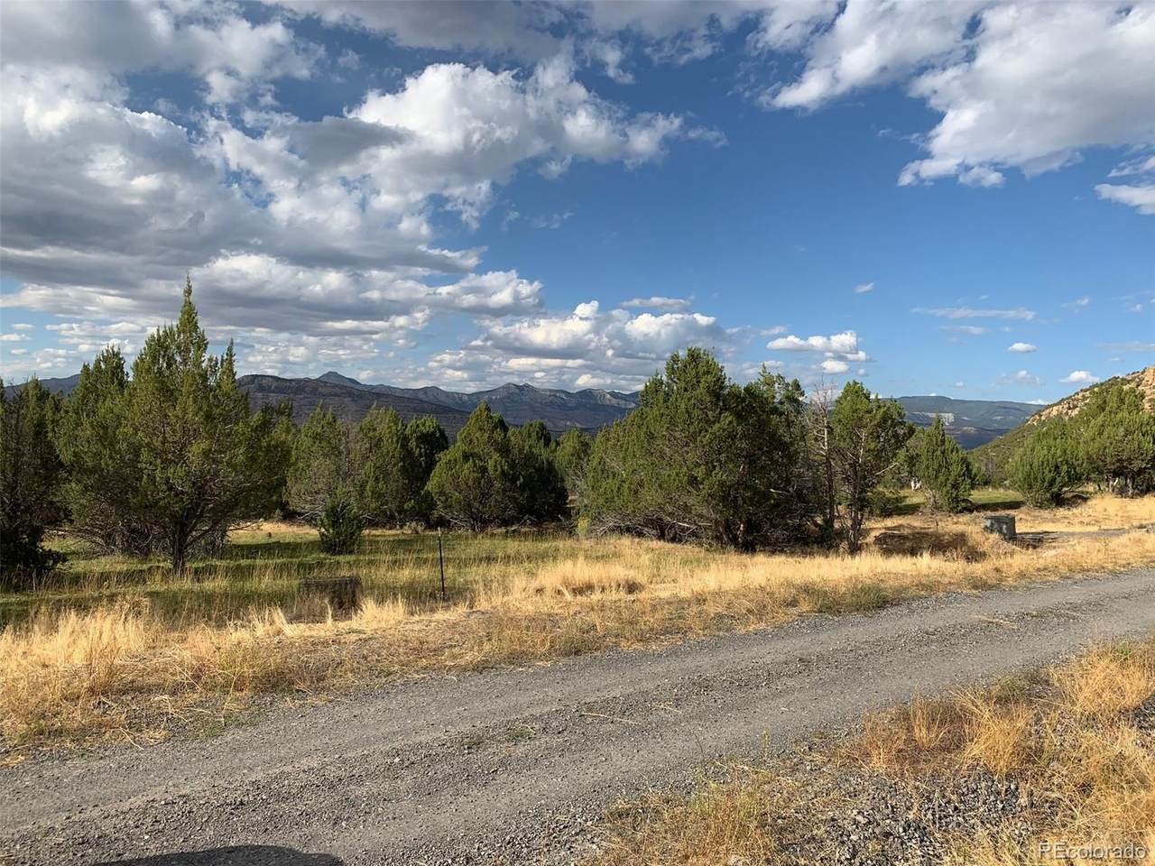10791 52 1/2 Road - Photo 1