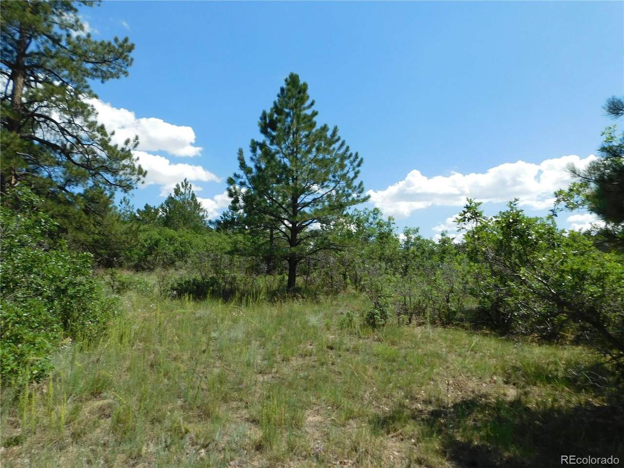 6901 Cinque Tail Drive - Photo 1