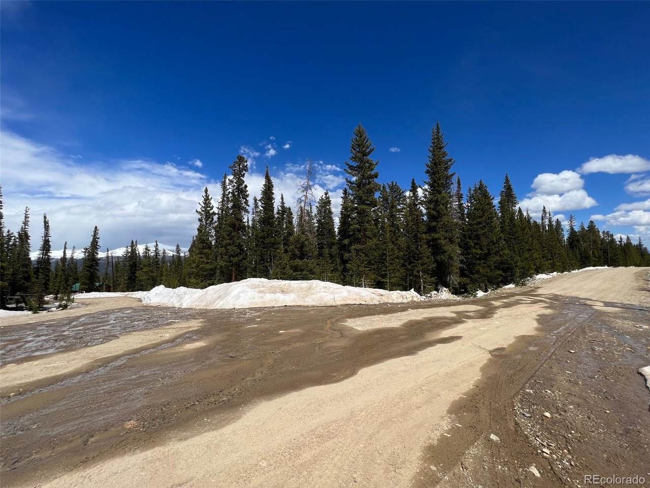 134 El Lobo Lane - Photo 1